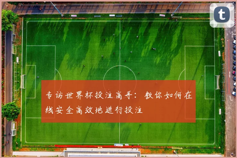 专访世界杯投注高手：教你如何在线安全高效地进行投注