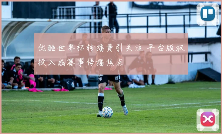 优酷世界杯转播费引关注 平台版权投入成赛事传播焦点