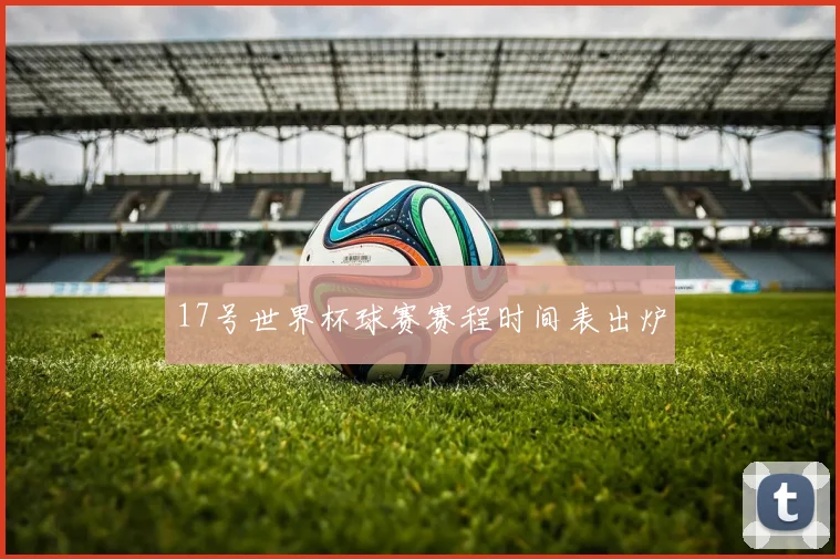 17号世界杯球赛赛程时间表出炉