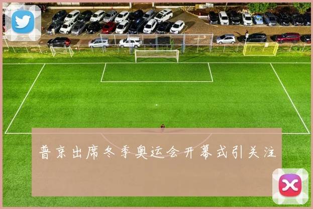 普京出席冬季奥运会开幕式引关注