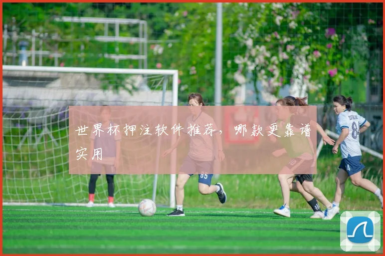 世界杯押注软件推荐，哪款更靠谱实用