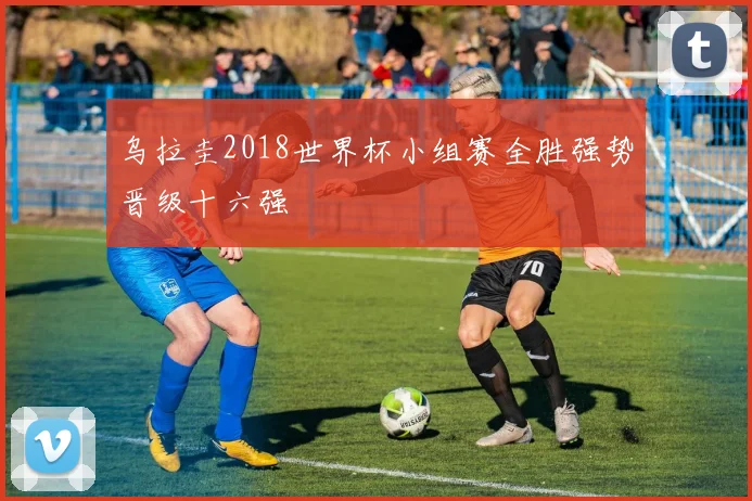 乌拉圭2018世界杯小组赛全胜强势晋级十六强