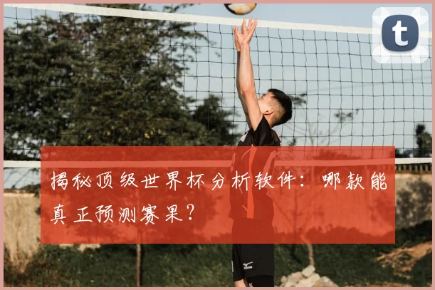 揭秘顶级世界杯分析软件：哪款能真正预测赛果？