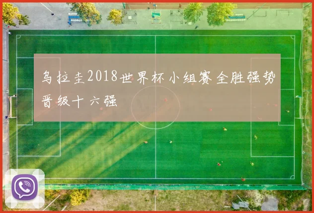 乌拉圭2018世界杯小组赛全胜强势晋级十六强